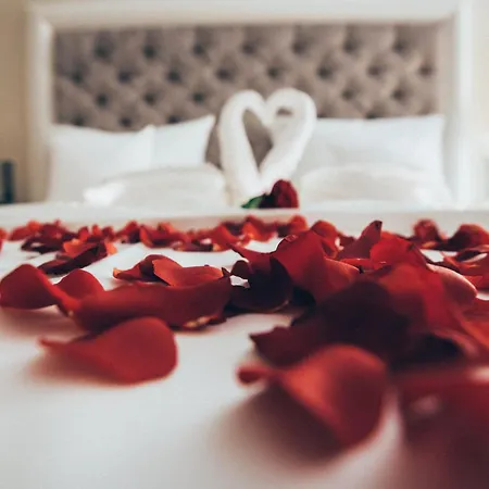 - The Niu, Amity By Ihg Potsdam
