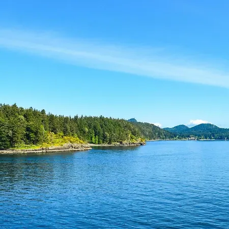 - The Niu, Amity By Ihg 3*