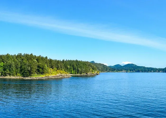 - The Niu, Amity By Ihg 3*